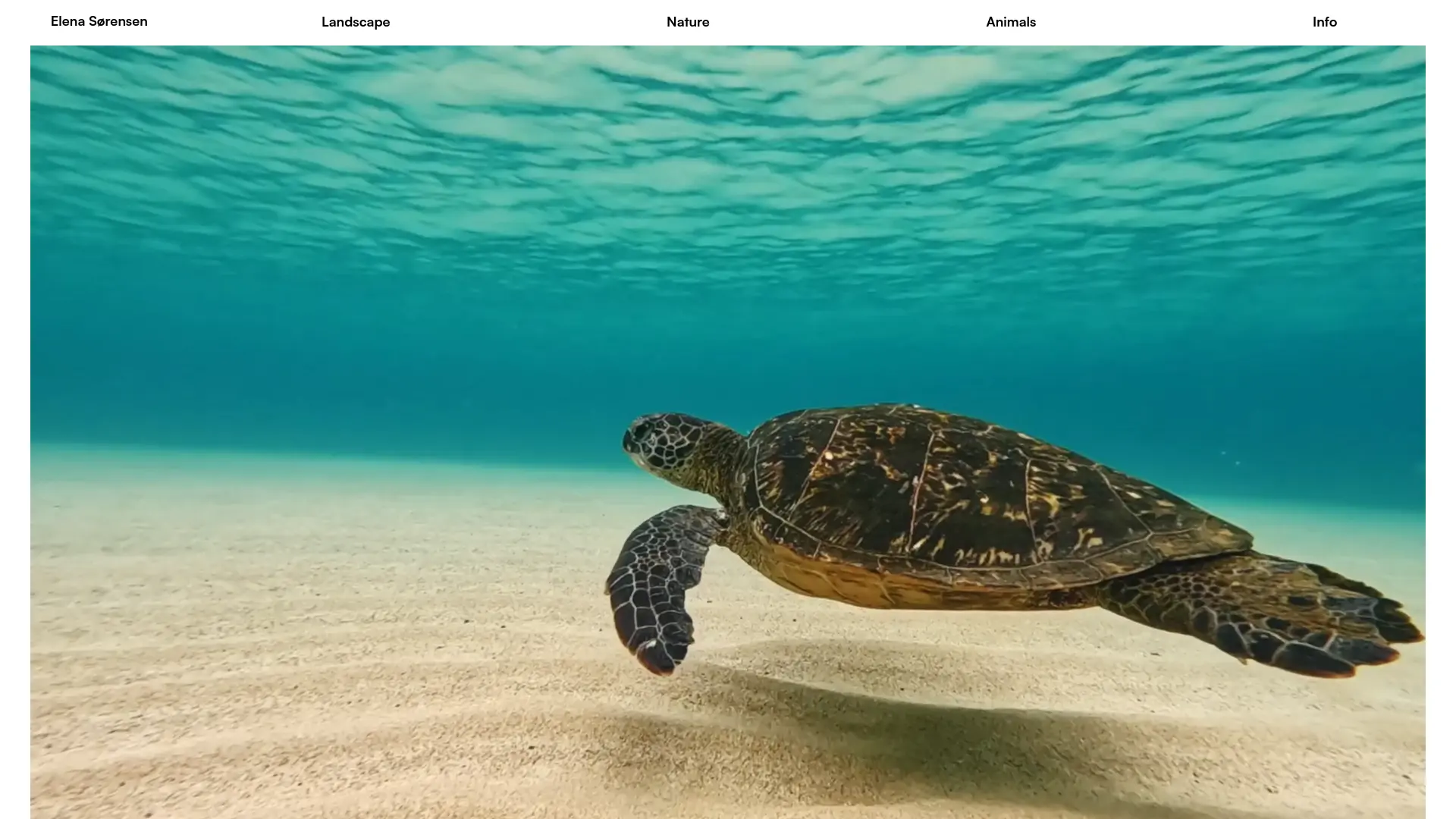 Screenshot of Professional portfolio